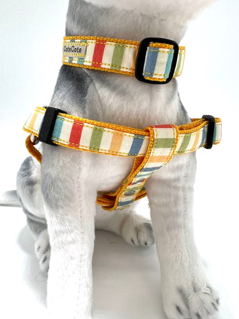 犬用品　首輪　ハーネス リード　ジョイントリード フルセット ハンドメイド