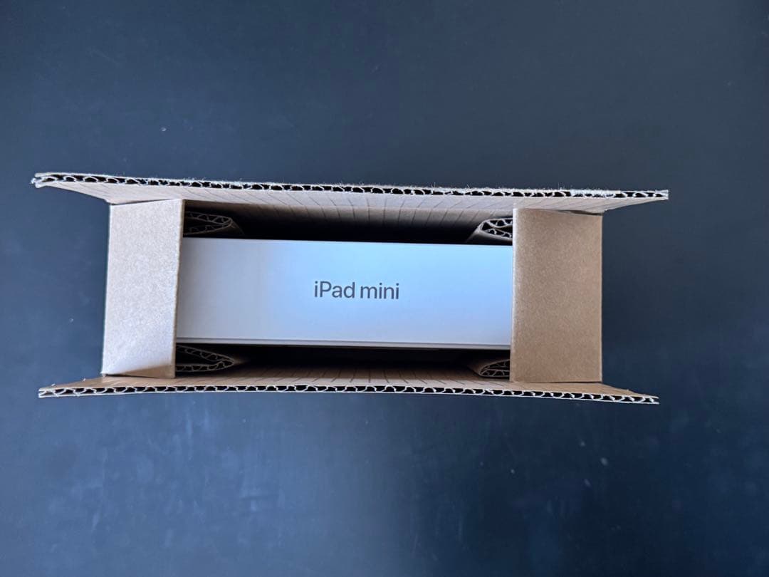 【美品】iPad mini6 64GB セルラーモデル スペースグレイ