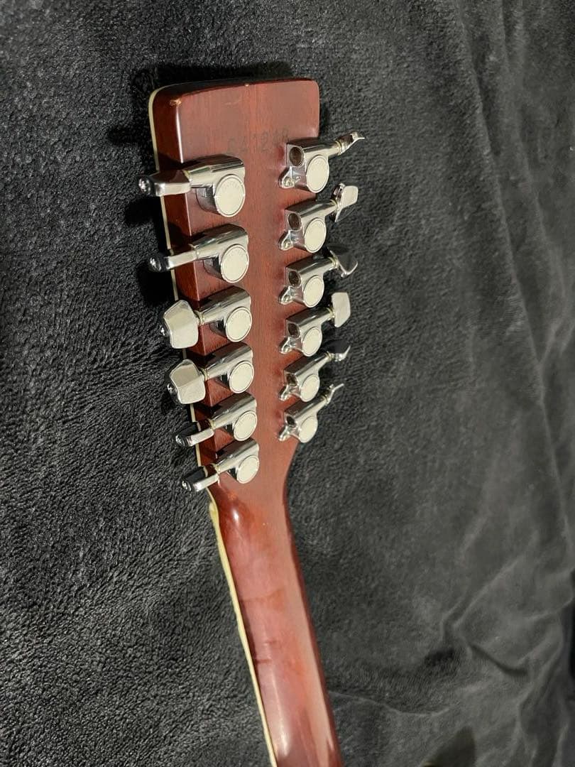 Morris B-50 縦ロゴ ハカランダ 12弦アコースティックギター