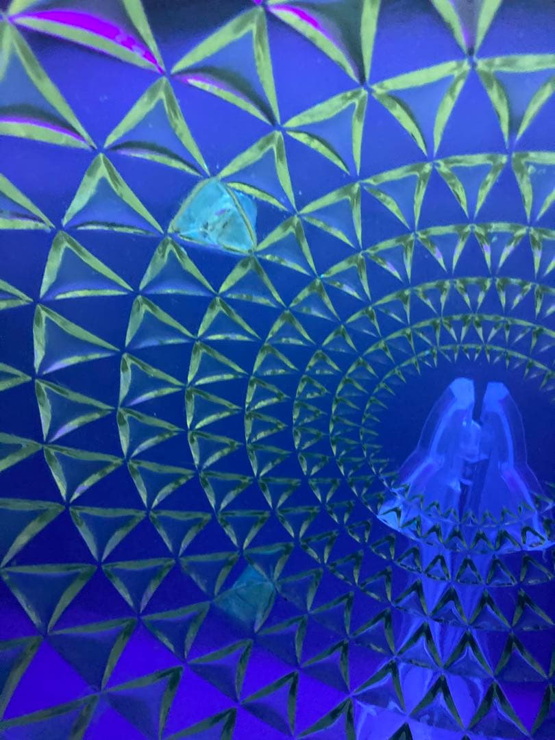 ルネ・ラリック ロザス プレート 大皿 ガラス皿 花柄 バラ窓 1930年代