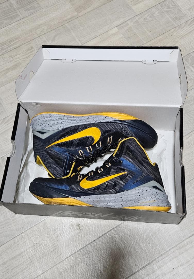 【希少/極美品】ハイパーダンク2014 ポールジョージ/コレクション品