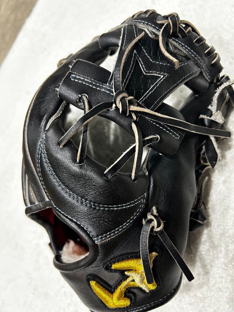 ワールドペガサス　グローブ