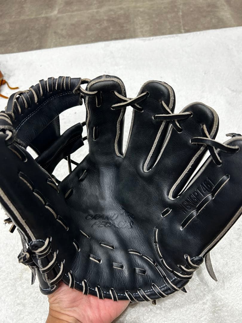 ワールドペガサス　グローブ