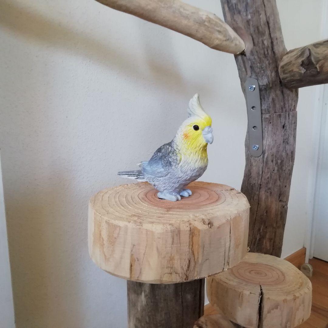 fm バードアスレチックジム 天然木 自然木 流木 止まり木 インコ
