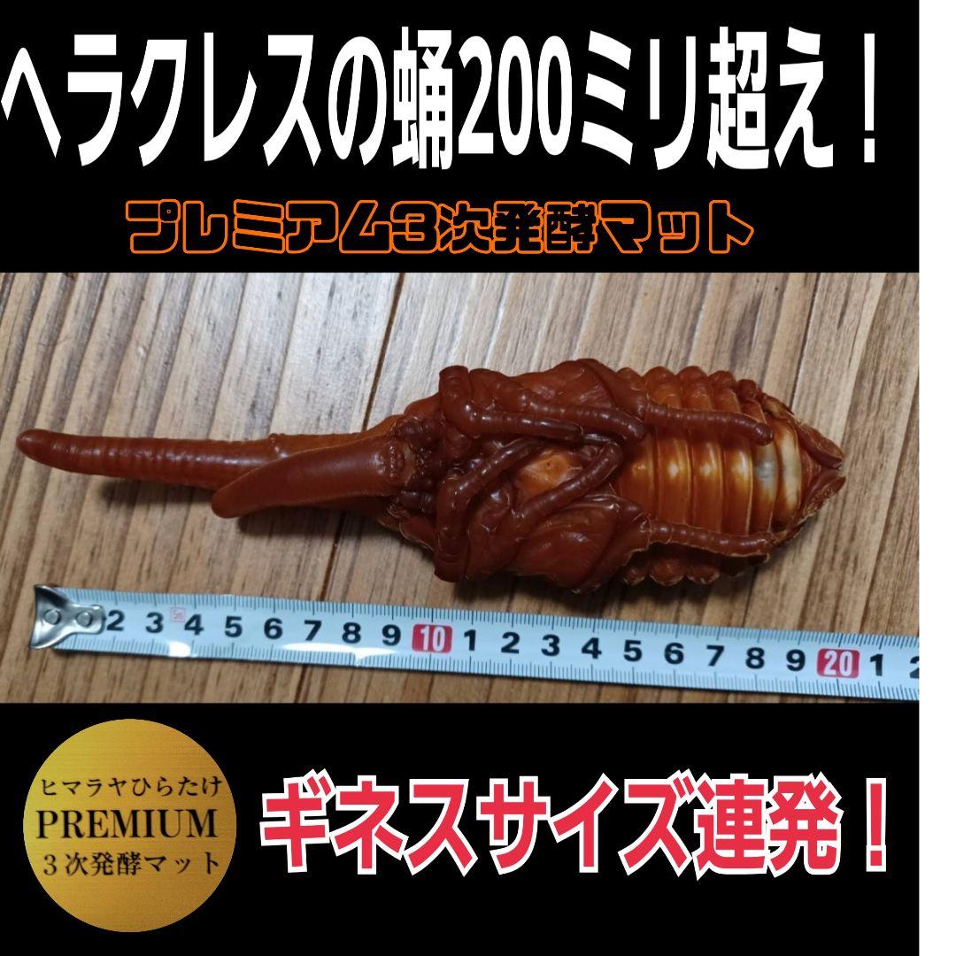 カブトムシ幼虫が巨大化！プレミアム3次発酵マット【70リットル】産卵にも抜群！