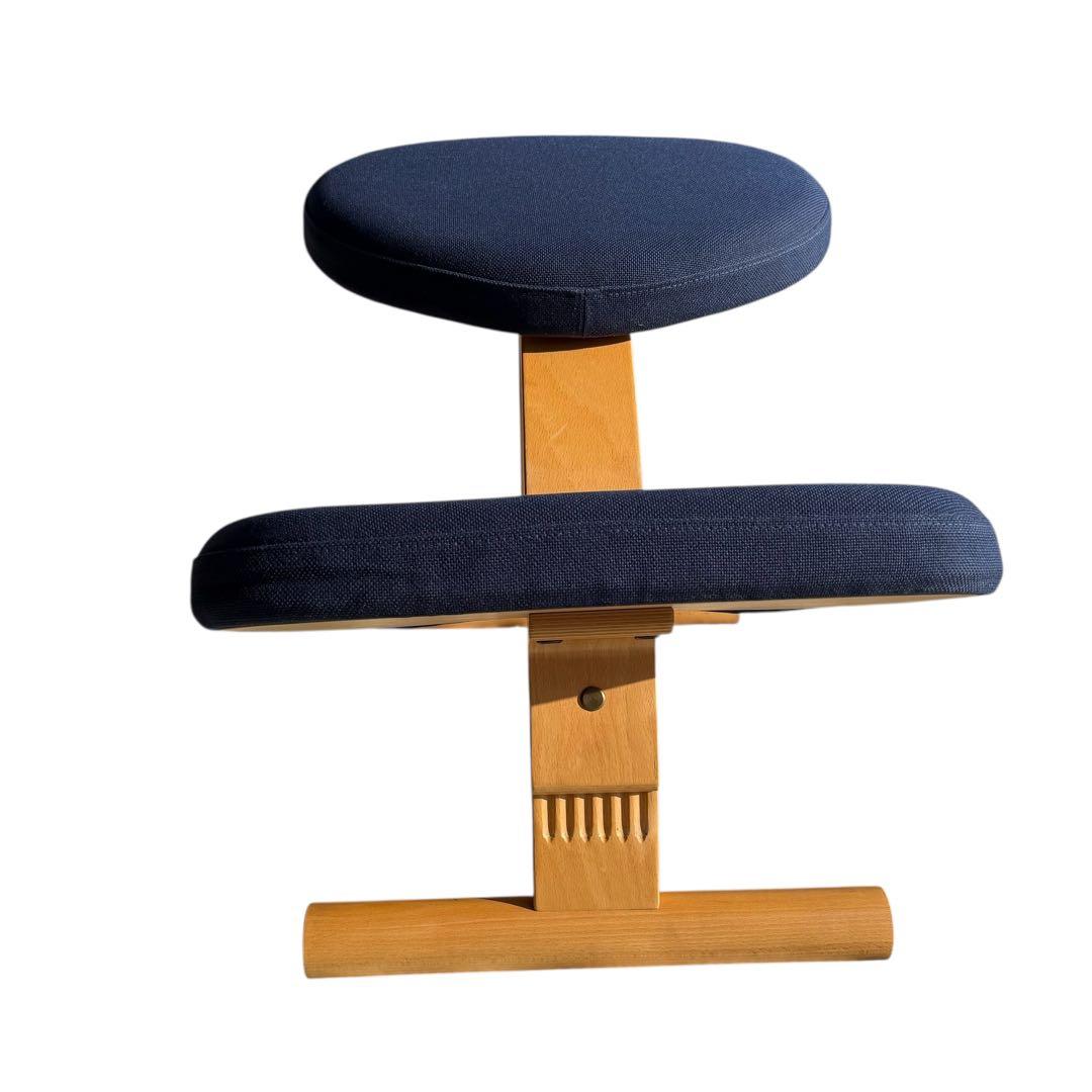 HR848 サカモトハウス　balans Easy 日本製　ネイビー