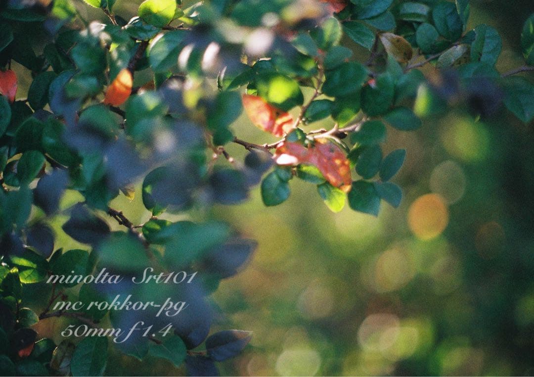 minolta srt101★ロッコールf1.4 ★完動品＊美品＊初期保証付き