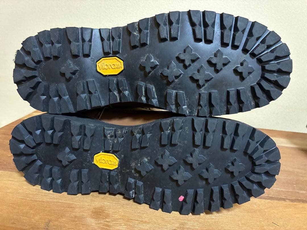 ダナーライトGORE-TEX 30420X 白タグ US 6EE