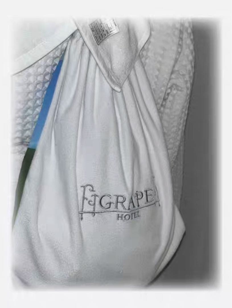 Grape hotel ss bag（公式完売／希少／レア）