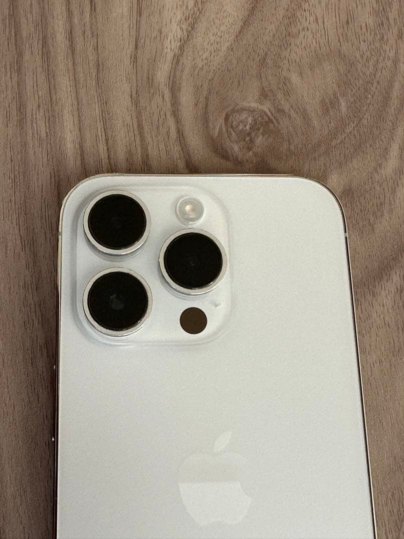【高性能×上品デザイン】iPhone 14 Pro シルバー 本体 256GB