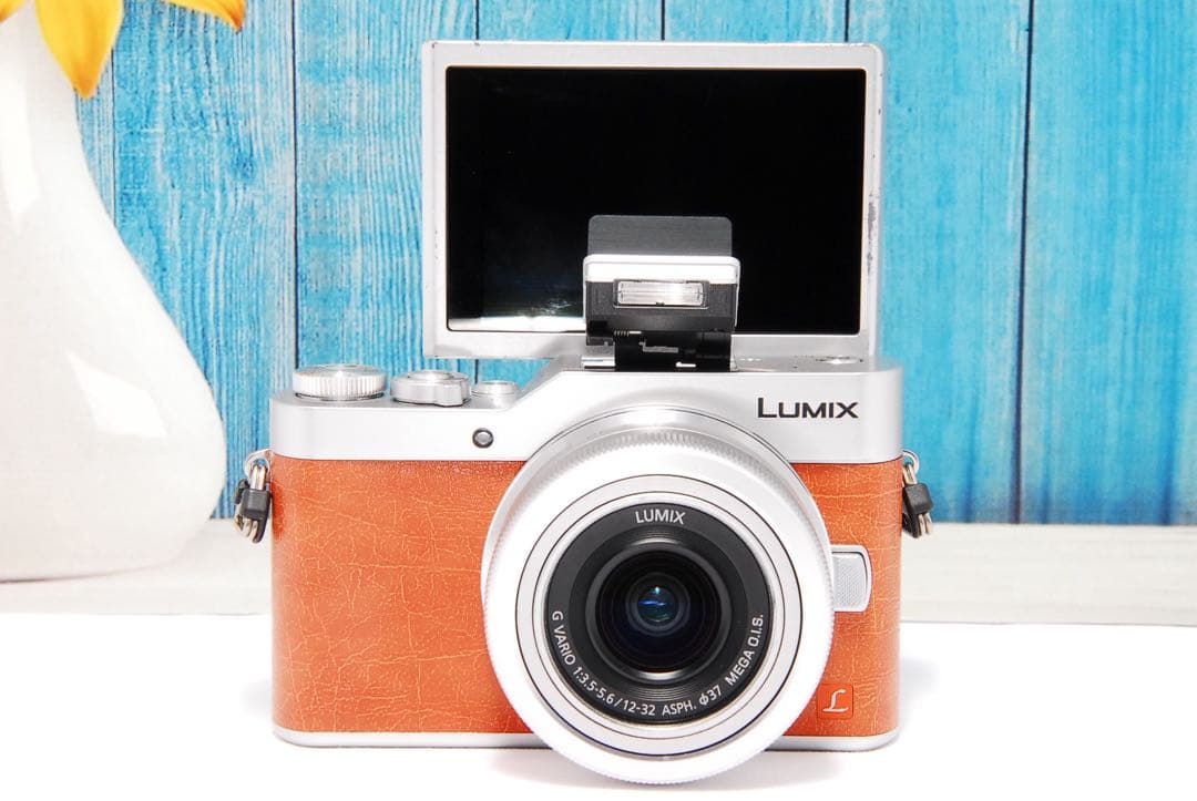 ショット数611回 LUMIX GF9 SNS Wi-Fi チルト ミラーレス