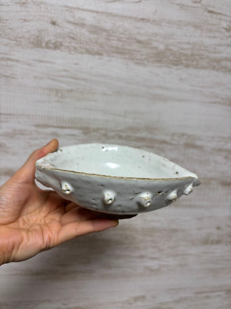 大華山鳥雲窯 納富鳥雲 萩焼 鮑形 向付 片口 鉢 小鉢 白萩 白釉 貝形 作家