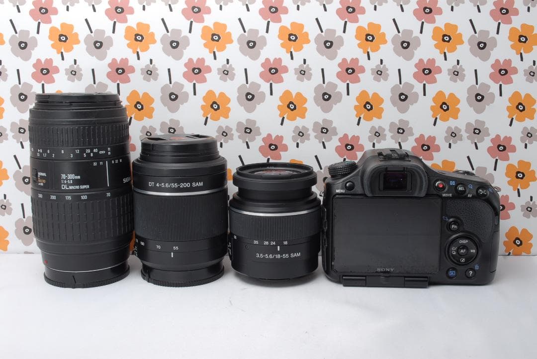 ❤即購入1000円OFF❤SONY α65❤超高画質❤超望遠トリプルレンズ❤