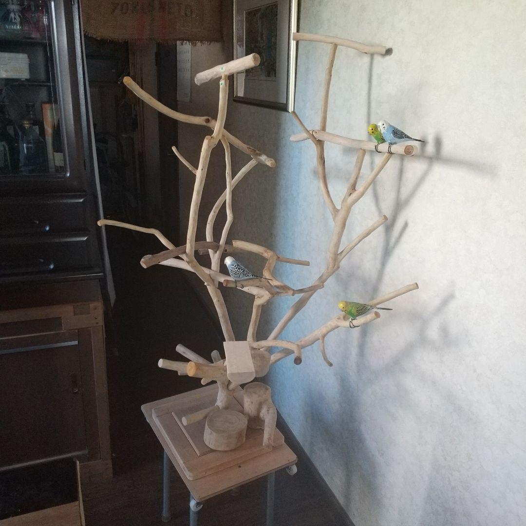 インコバードアスレチック楽園シリーズ③キャスター付きその❷完成品