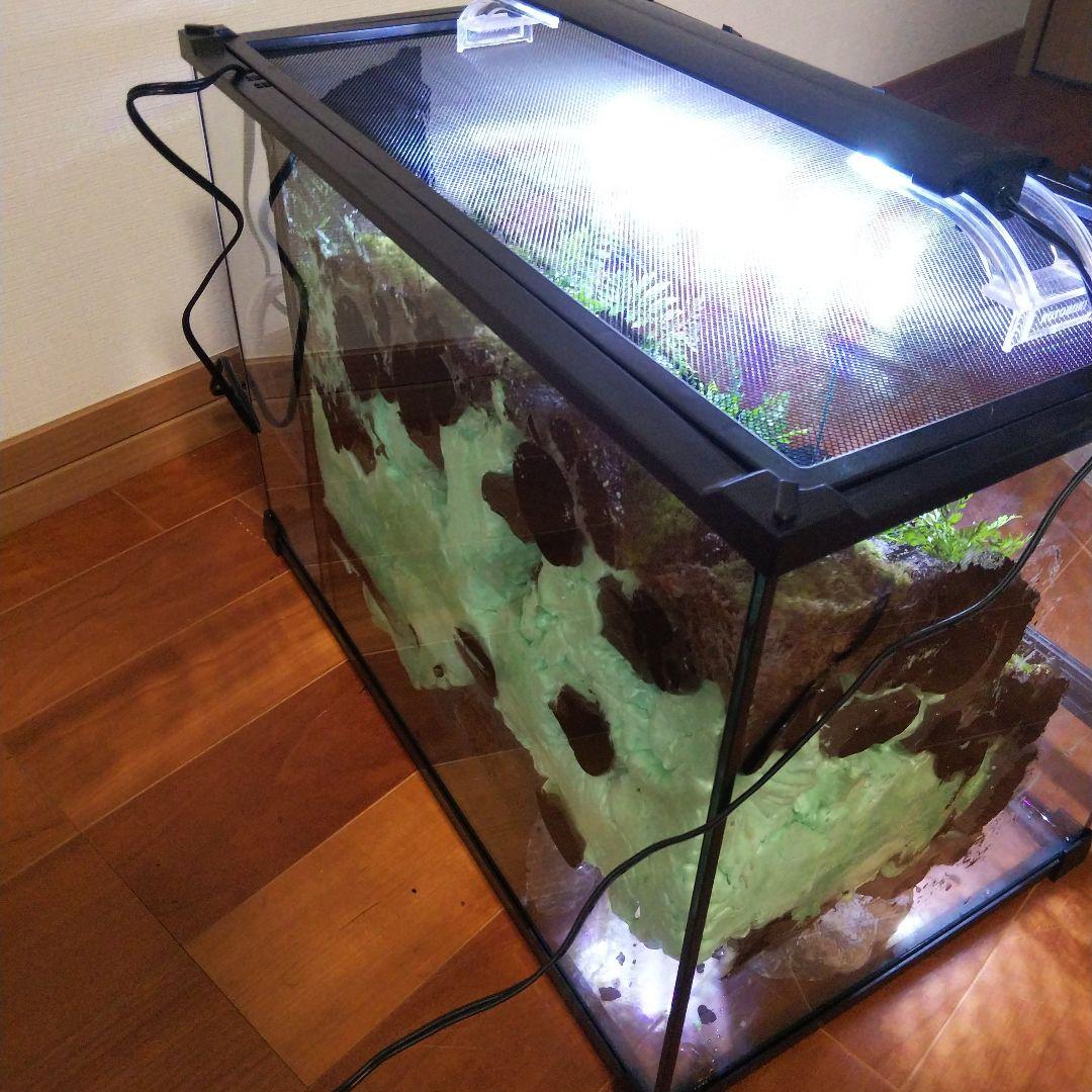 アクアテラリウム