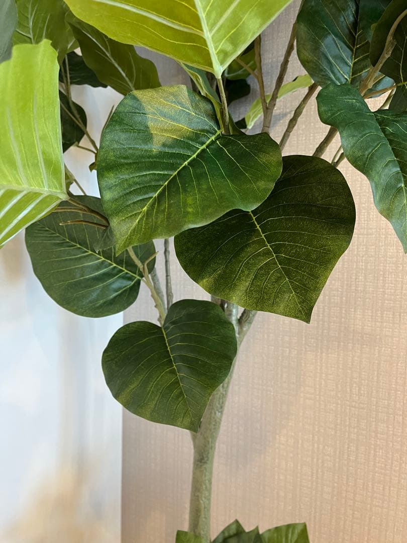 インリア　フェイクグリーン