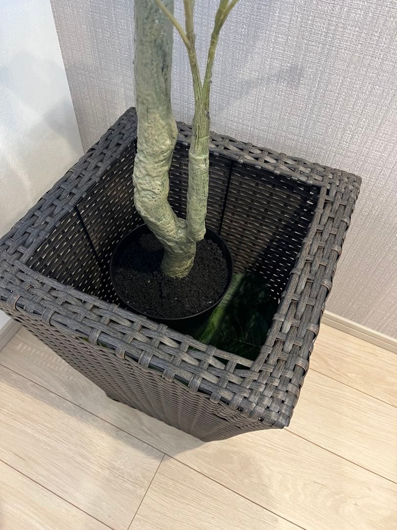 インリア　フェイクグリーン