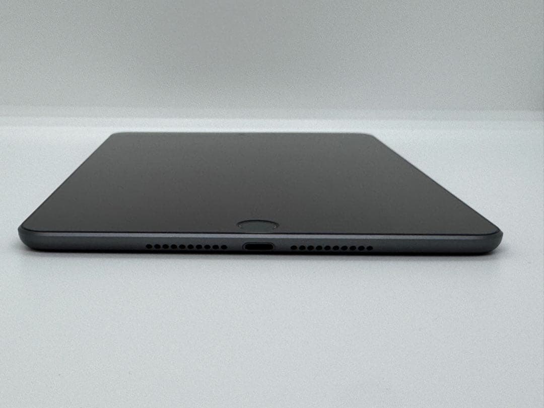 ✨極美品✨Apple ✨iPadmini第5世代✨64GB✨スペースグレイ