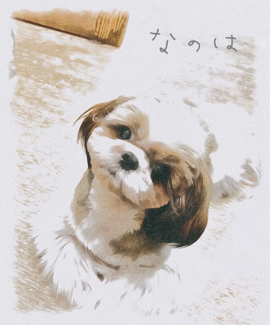 うちの子イラスト（データ納品）