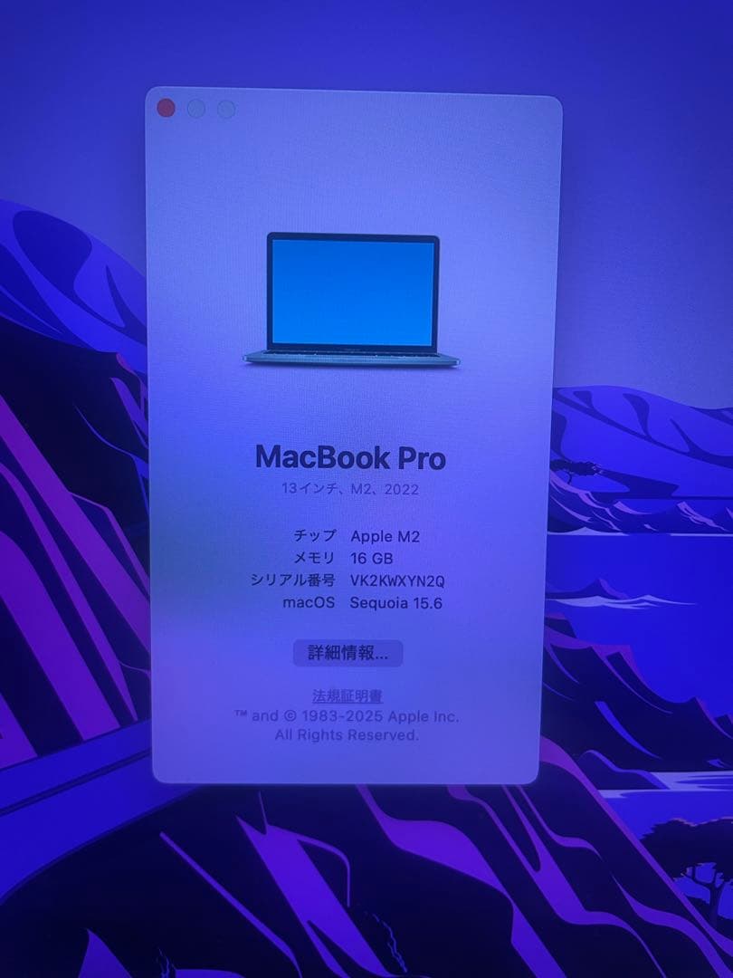 ｎ*川様 2022Apple MacBook Pro M2 メモリ16GB 1T