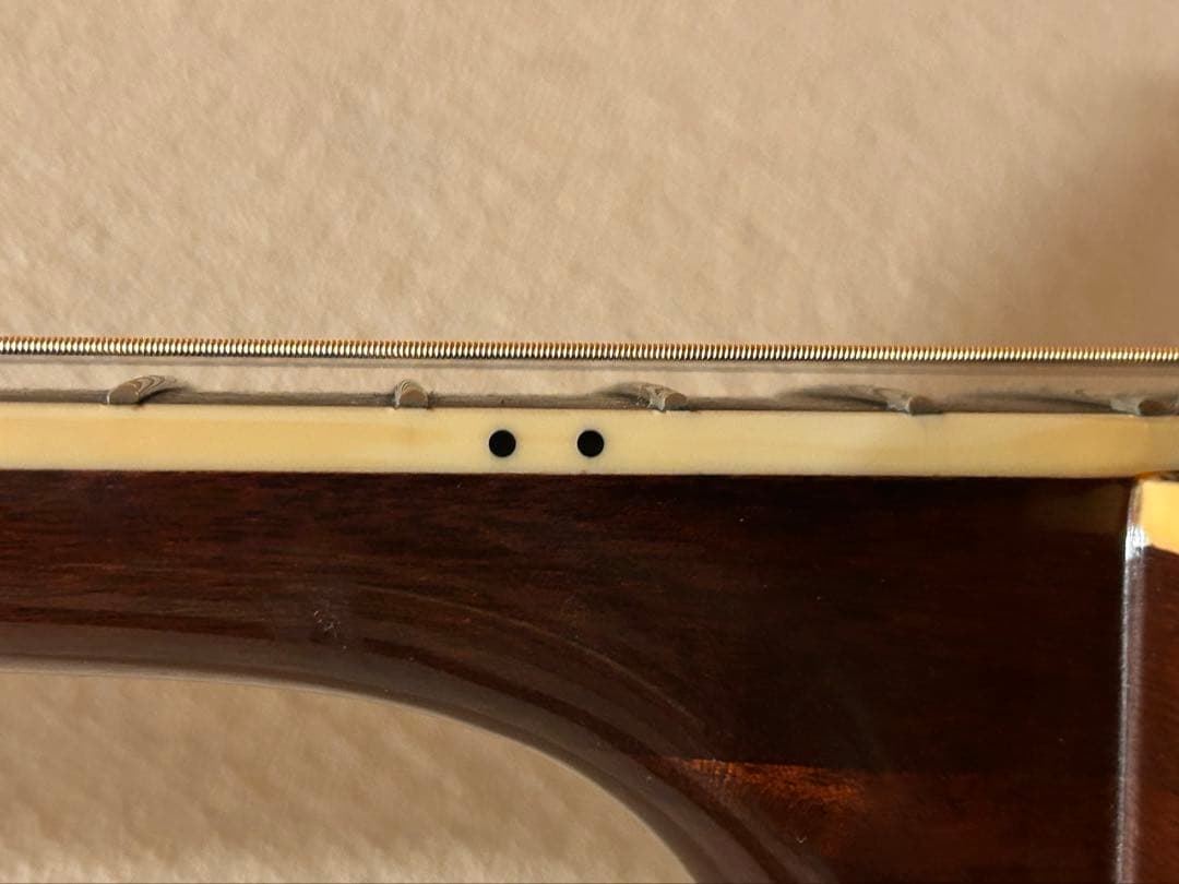 値下げ！即日発送！美品☆ エレアコ James JE450　新品弦