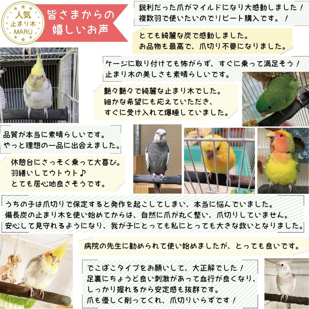 琥珀