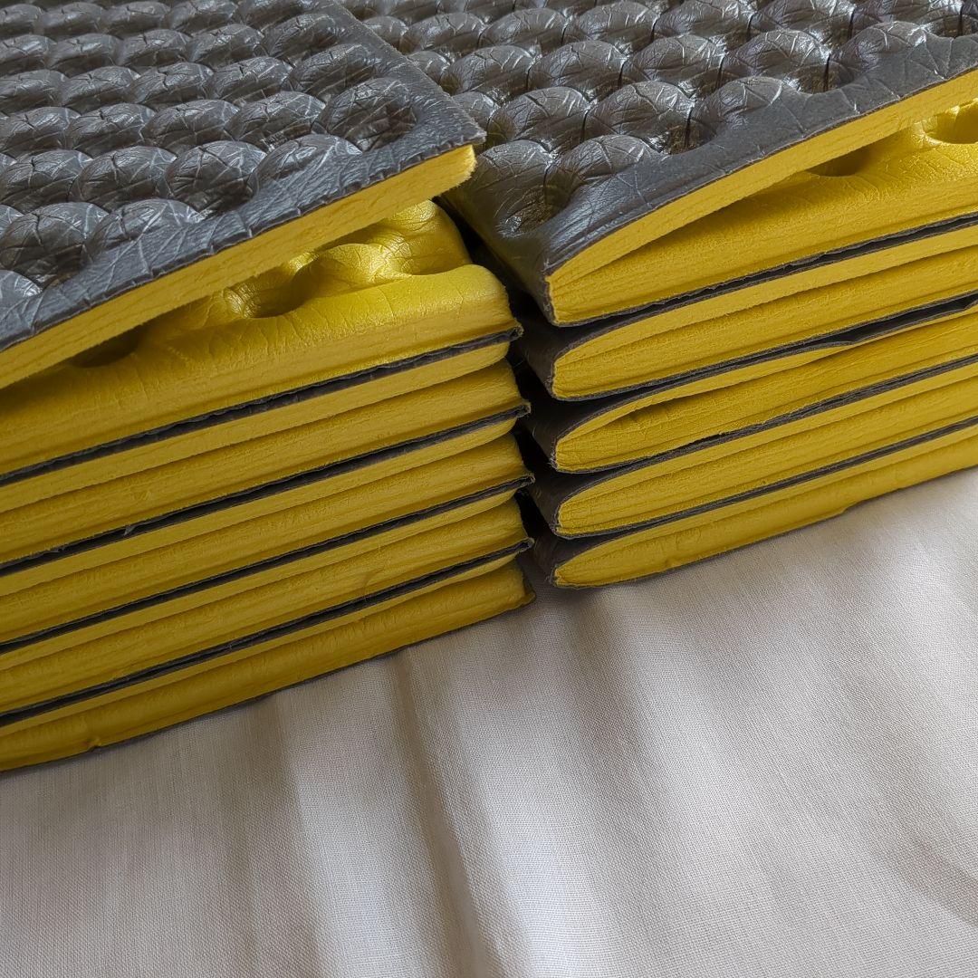 THERMAREST サーマレスト Zライトソル 2個セット 収納袋 ケース付き