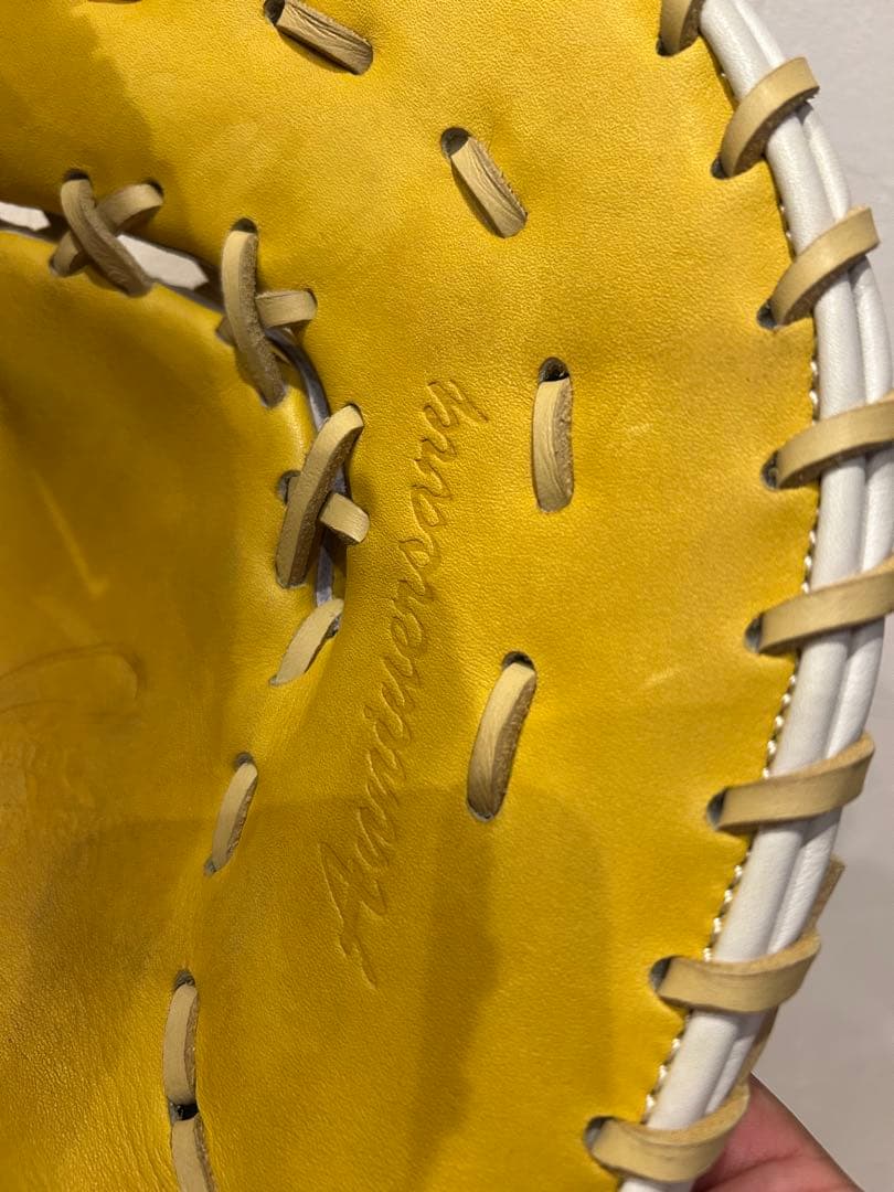 極上 希少カラー 軟式 ハタケヤマ ファーストミット