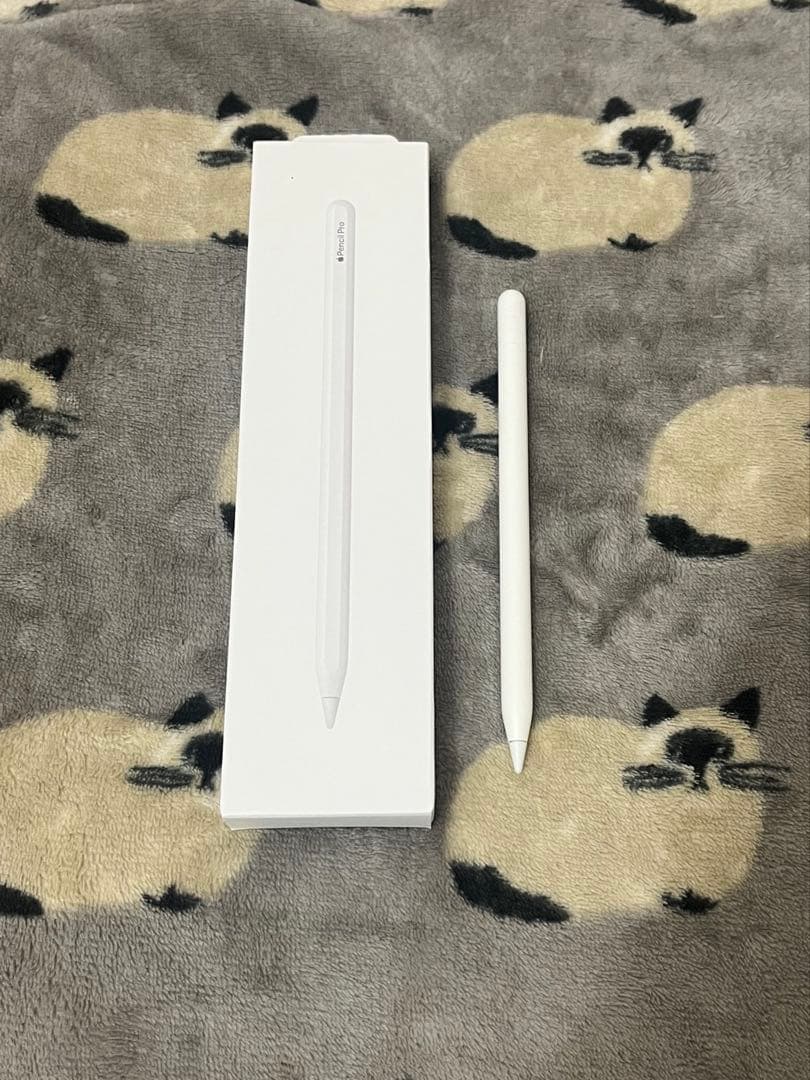 ほぼ未使用 Apple Pencil USB-C A3085 アップルペンシル