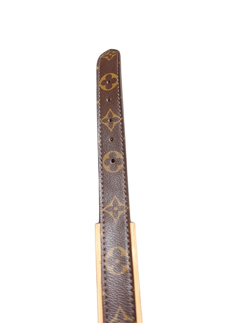 Louis Vuitton 中型犬用首輪とリードセット