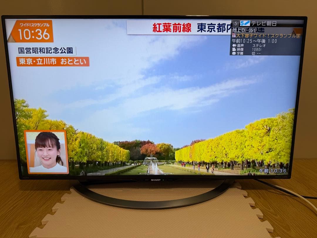 シャープLC-40U45 40型 2017年製⭕️上地、BS/CS、動画可テレビ