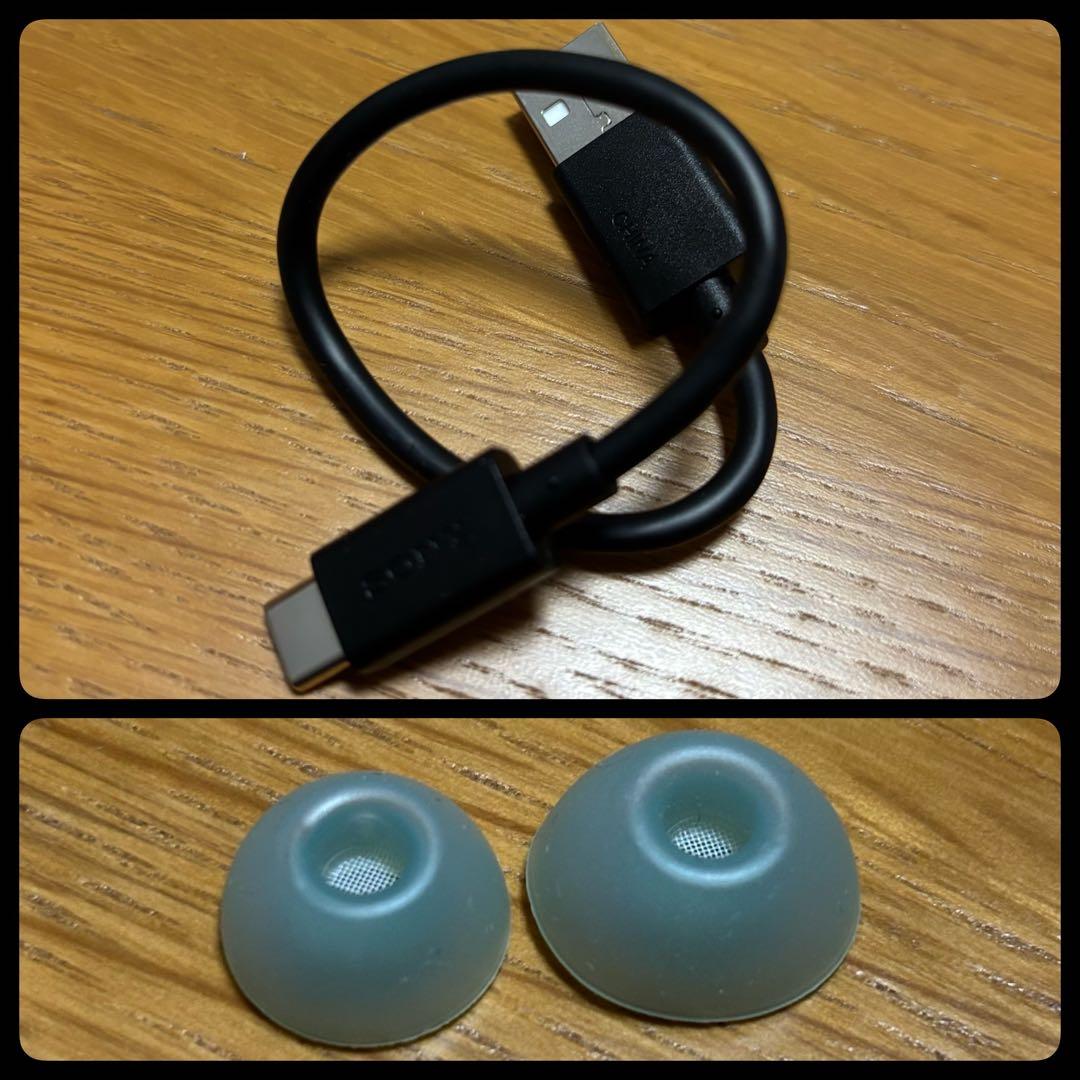 【ジャンク品】SONY LinkBuds Fit WF-LS910N ブラック黒