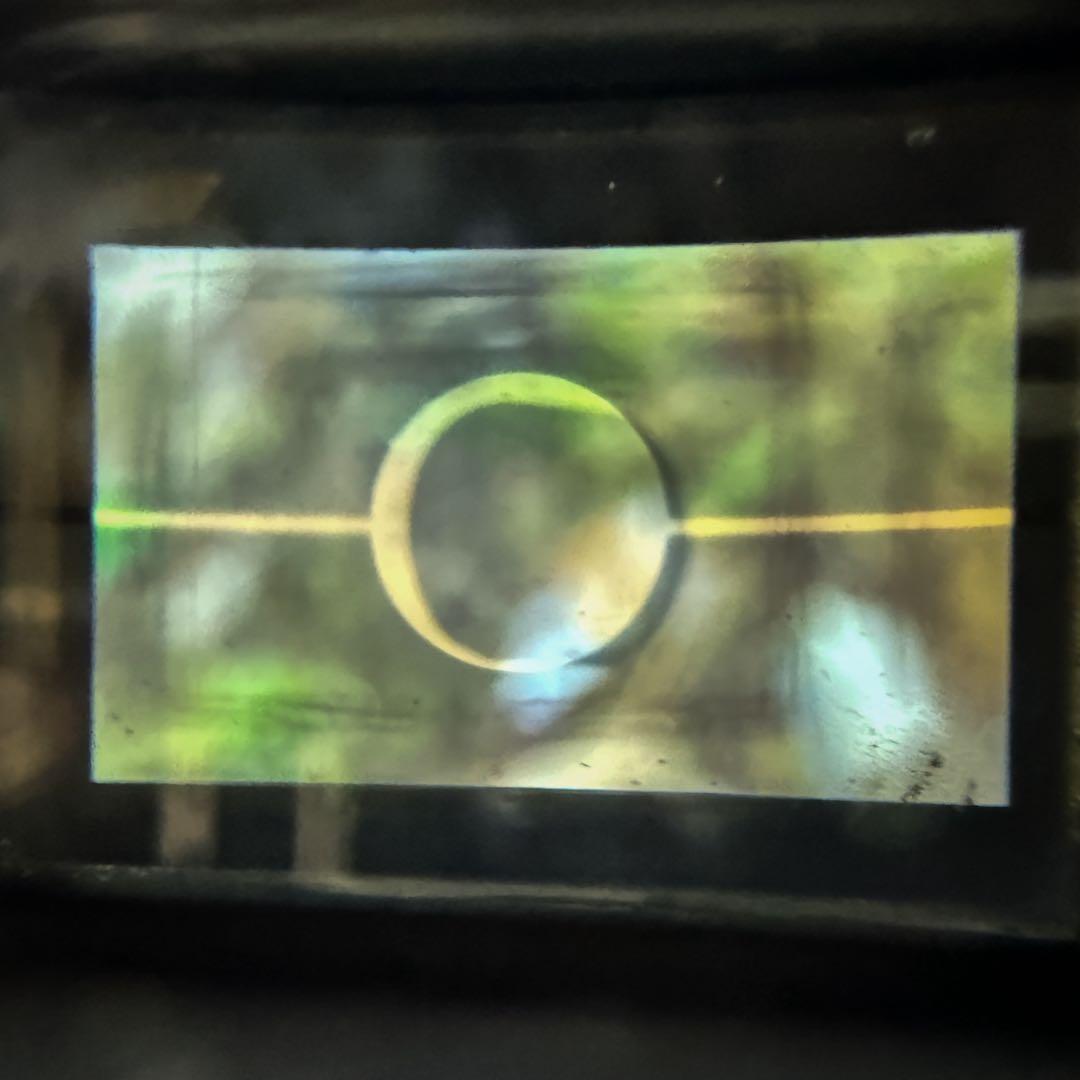 Canon P ポピュレール 露出計付き 完動品