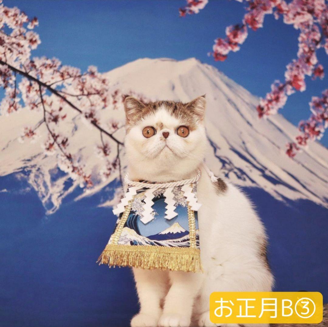 背景布【お正月I】サンプル　縦長　ペット撮影用ブース年賀状　梅の花　和柄　赤富士