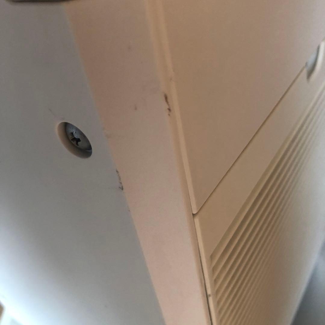 DAIKEN ダイキン ストリーマ空気清浄機 2020年製 ACM55W-W