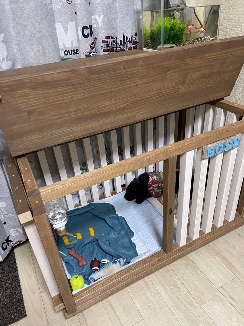 犬小屋