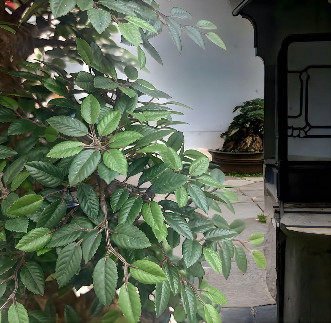 光触媒　人工観葉植物　ウォールグリーン　フェイクグリーン　盆栽　欅　けやき