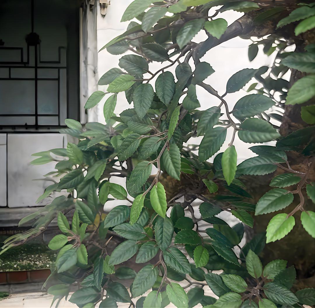 光触媒　人工観葉植物　ウォールグリーン　フェイクグリーン　盆栽　欅　けやき