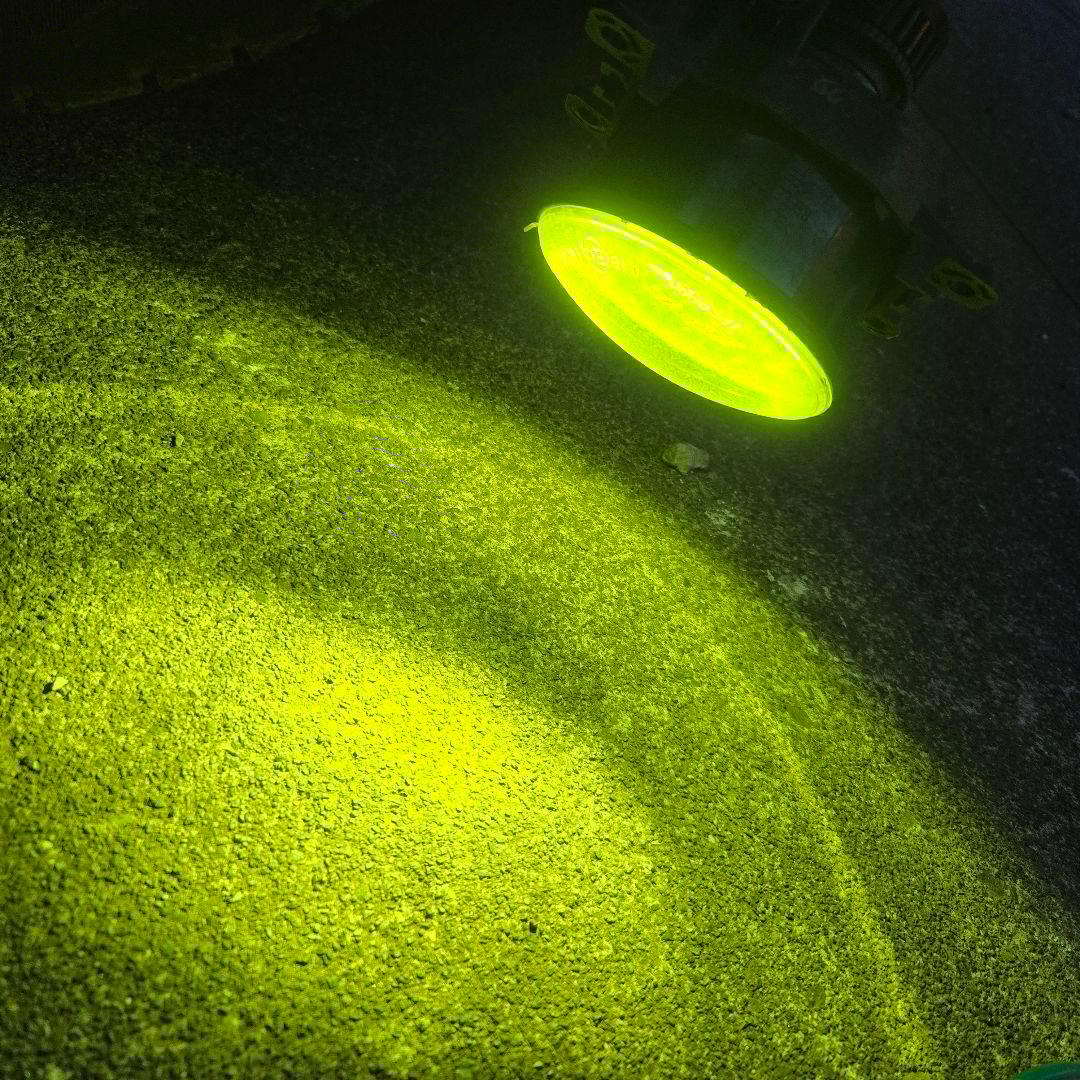 後期デリカD5　IPF製フォグクリアー101FL　ロイヤルガードバルブ付き