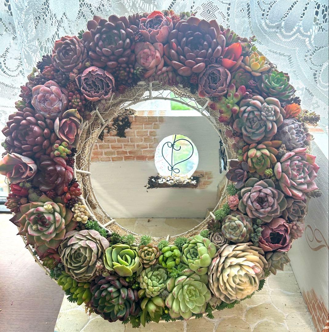 ❤️多肉植物そのまま飾れる❤️グラデーションリース❤️アイアンリース大きめ約35㎝