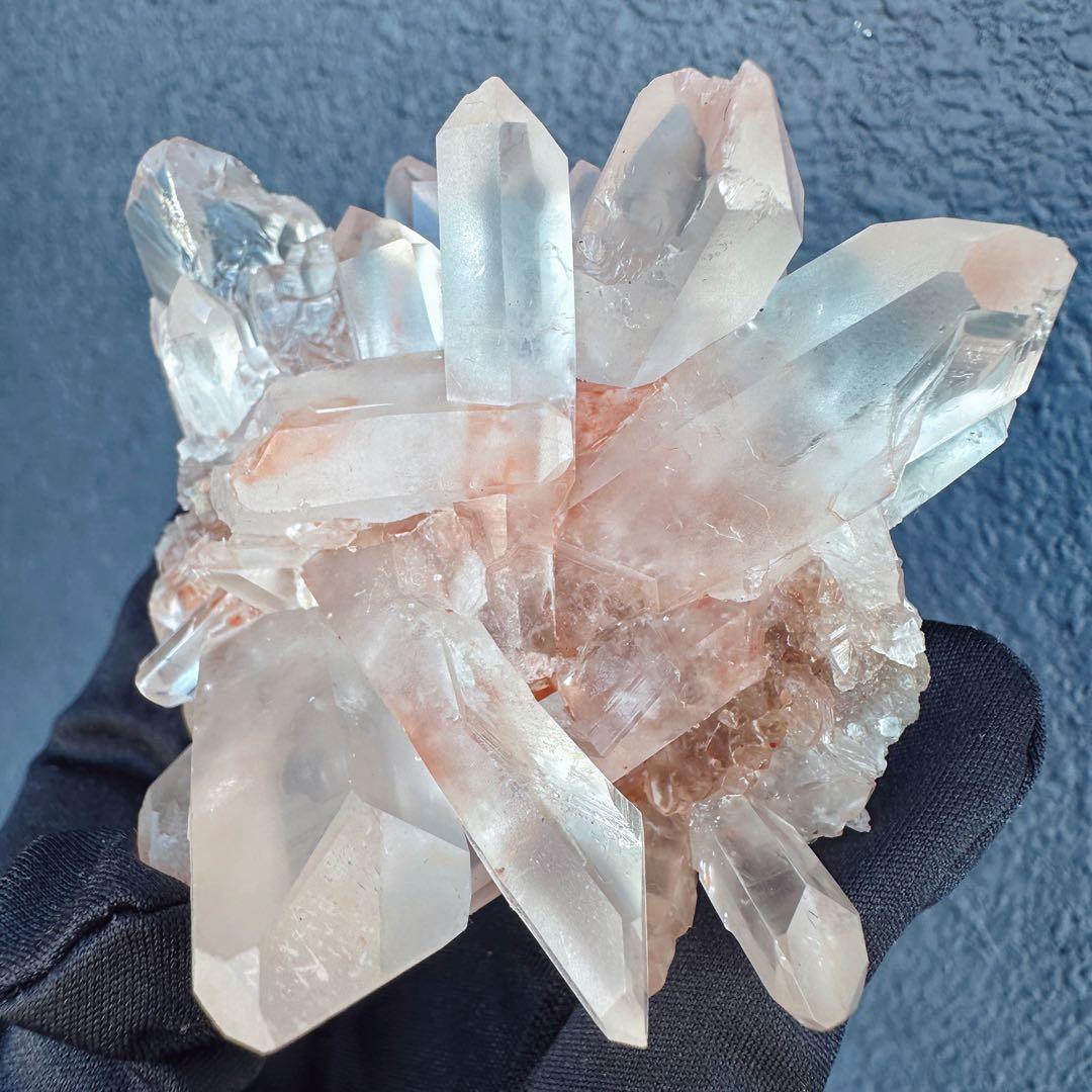 ぽんぽん♪　ヒマラヤクラスター A1168、A1244、A1185