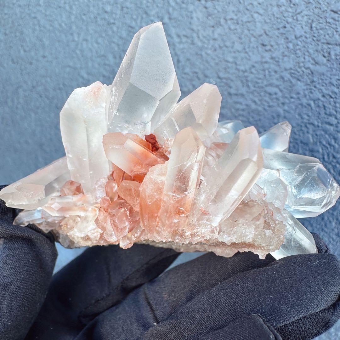 ぽんぽん♪　ヒマラヤクラスター A1168、A1244、A1185