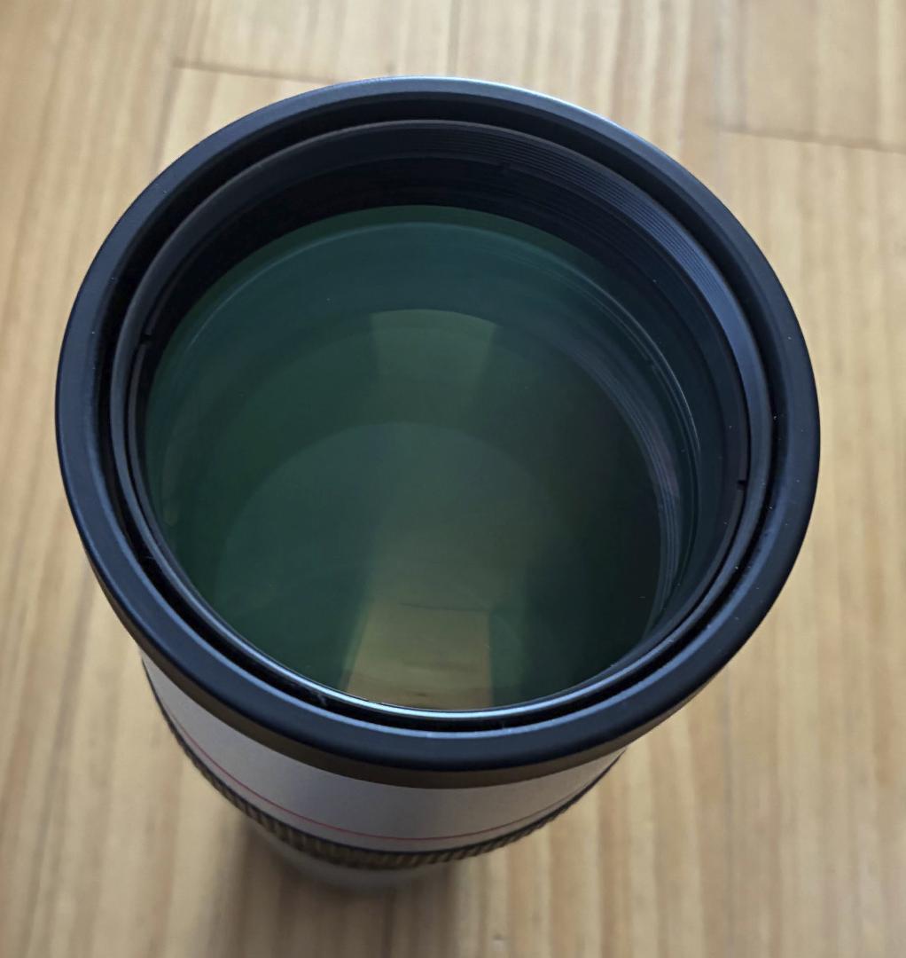 キャノン LENS EF 300mm 1:4 L ULTRASONIC