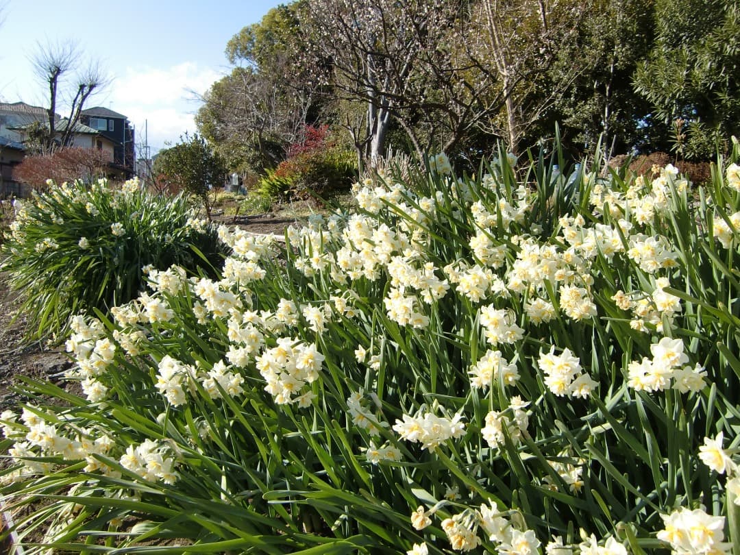 追加あり⭕️【動作確認済】CASIO　EXILIM　EX-Z450　デジカメ