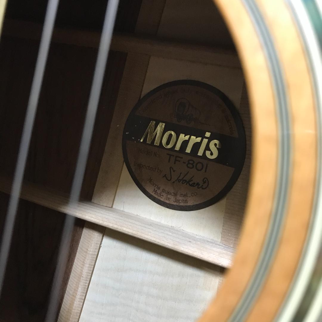 【整備品/良品】MORRIS TF-801 アコースティックギター ハカランダ