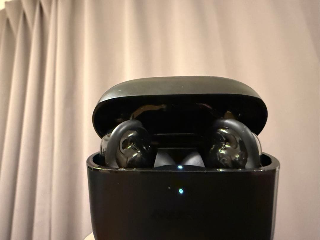 BOSE QuietComfort Earbuds Ⅱ + 純正シリコンカバー