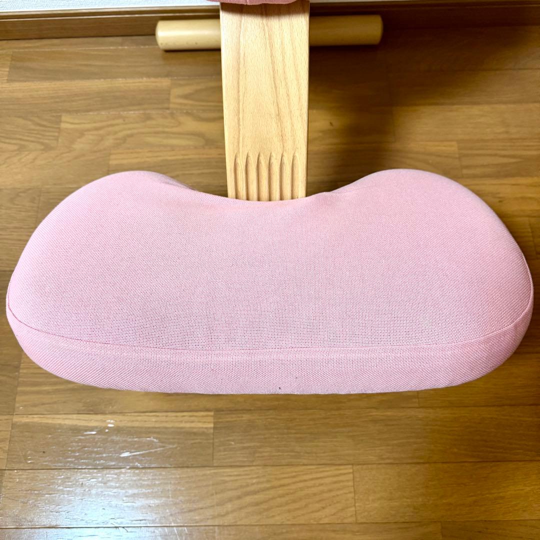 【minipham】 バランスイージー Rybo リボ社 カバー付き