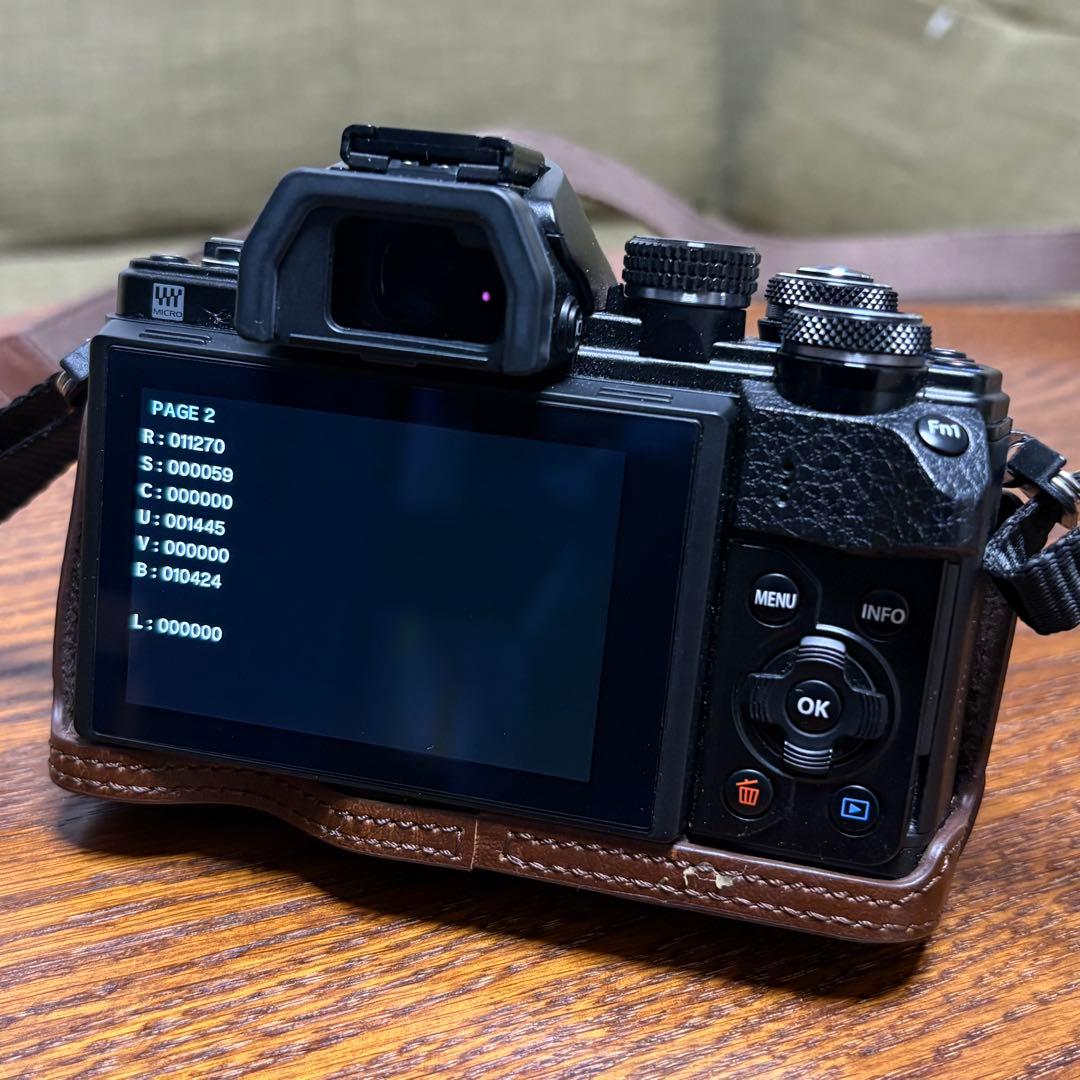 OLYMPUS E-M10 MKⅡ ダブルズーム+30mm F1.4 DC DN