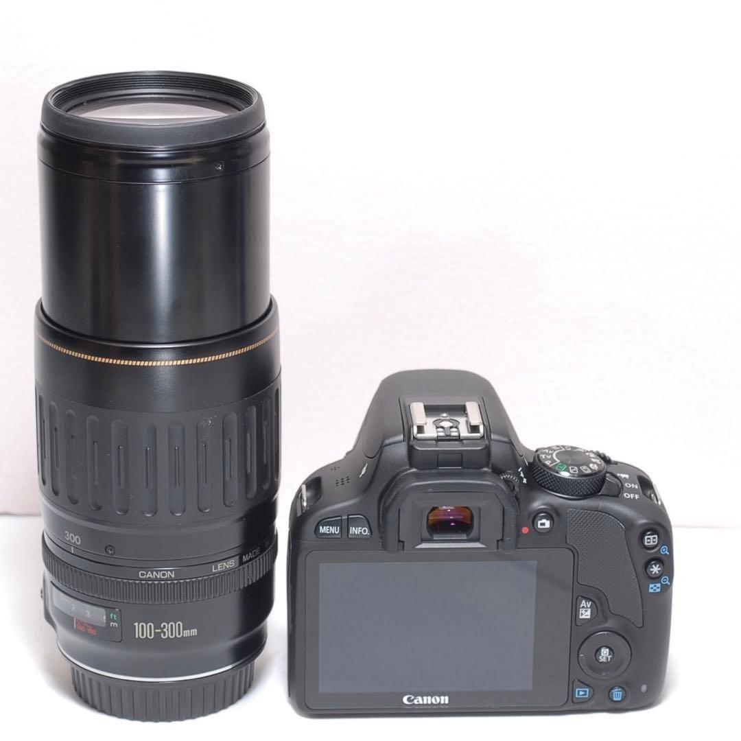 ✨スポーツ観戦におすすめ✨CANON KISS X7✨超望遠レンズ✨高画質✨