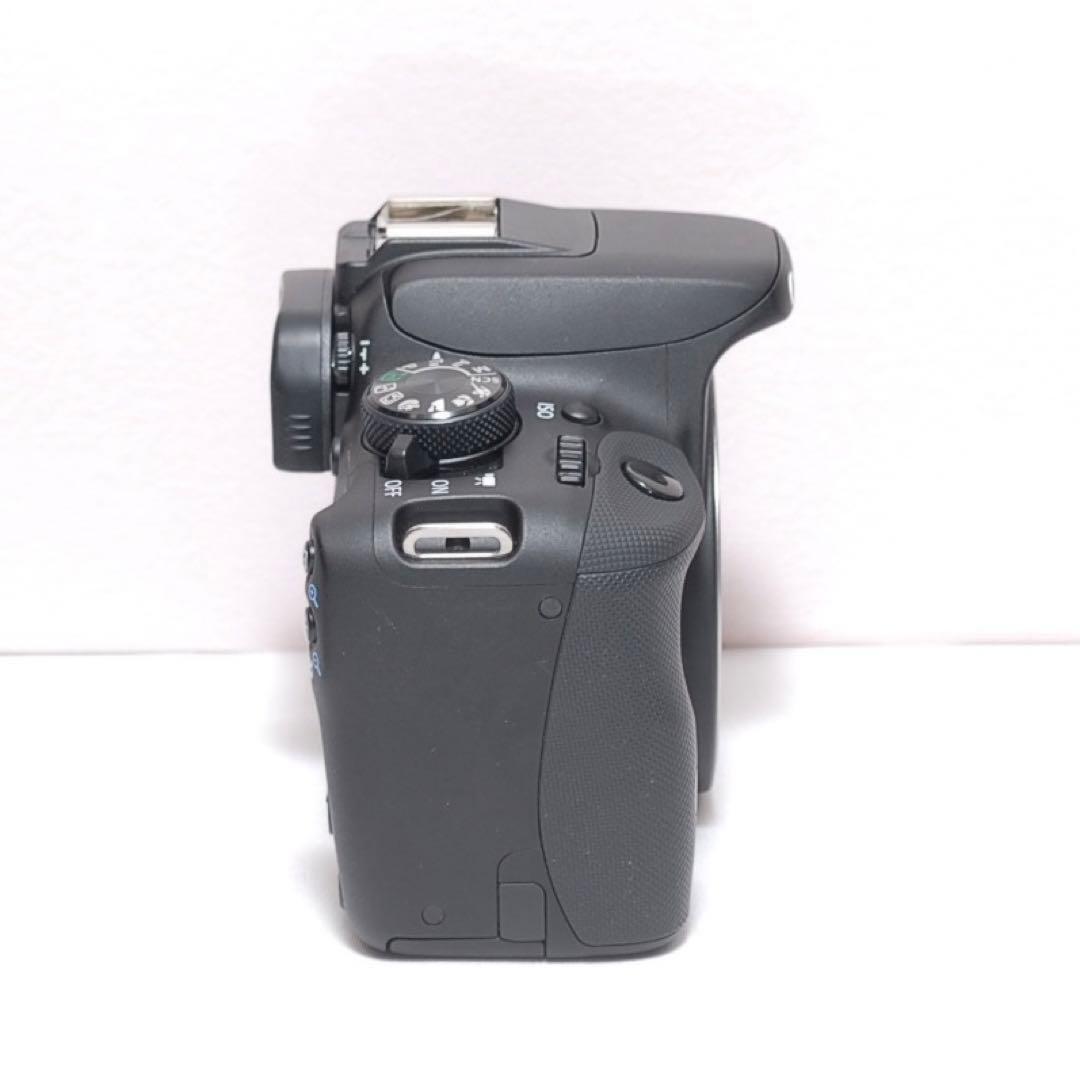 ✨スポーツ観戦におすすめ✨CANON KISS X7✨超望遠レンズ✨高画質✨